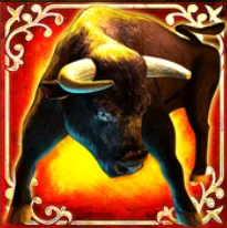 Stier